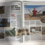 Nuez navarra: del nogal a la mes