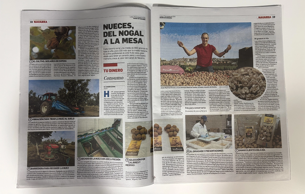Nuez navarra: del nogal a la mes